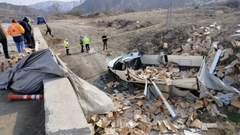 Koyulhisar'da Devrilen Kamyonetdeki Arılar Krize Yol Açtı!