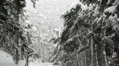 Yozgat'taki Biyoçeşitlilik,46 Memeli Türü ve Nadir Hayvanlar Görüldü!