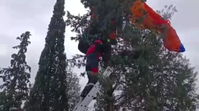 Pamukkale'de Yamaç Paraşütü İnişinde Kaza: Pilot ağaçta mahsur kaldı!