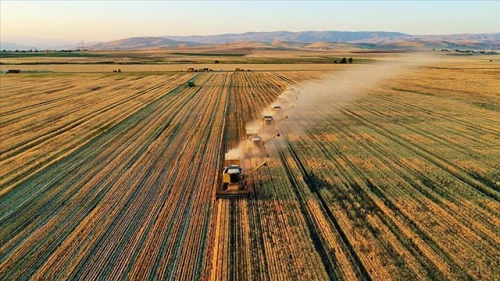 Tarımsal destekleme ödemeleri bugün hesaplara aktarılıyor 279,8 Milyon TL